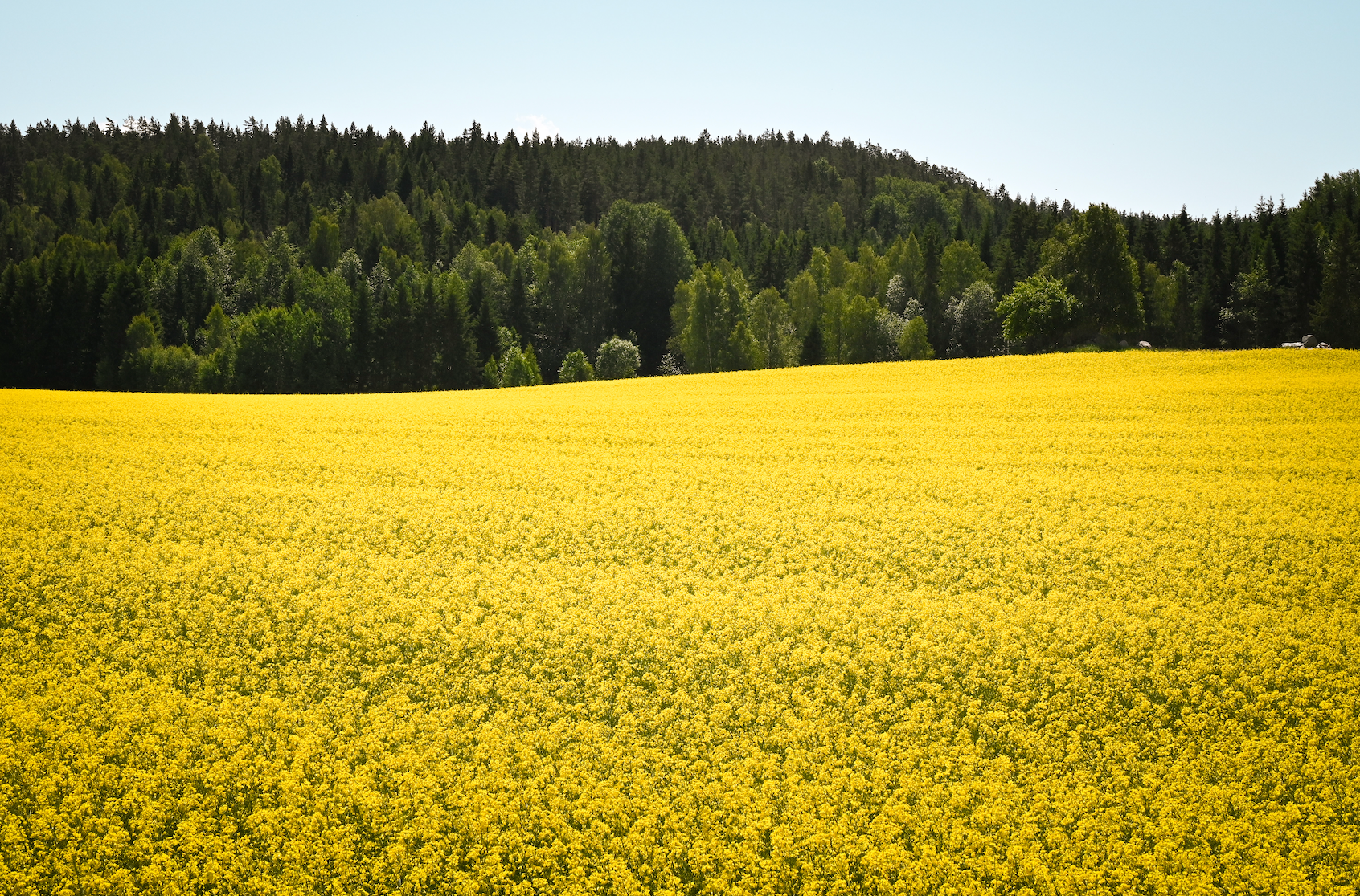 Kvalitets- och miljösäkrad produktion
