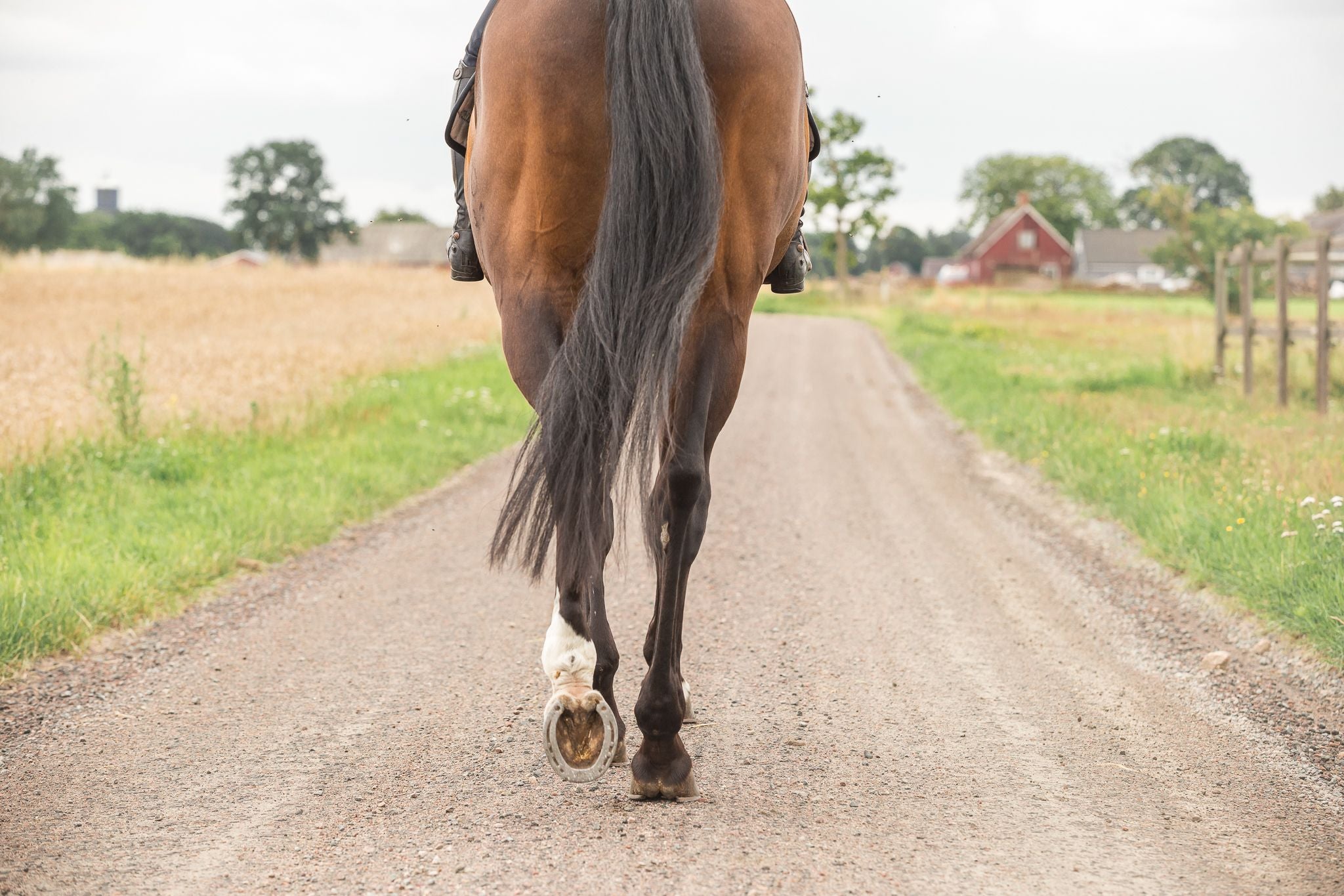 Conquest Every Day & uppbyggnad