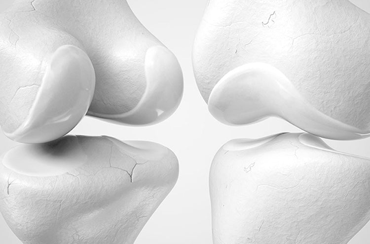 Ledbroskets funktion