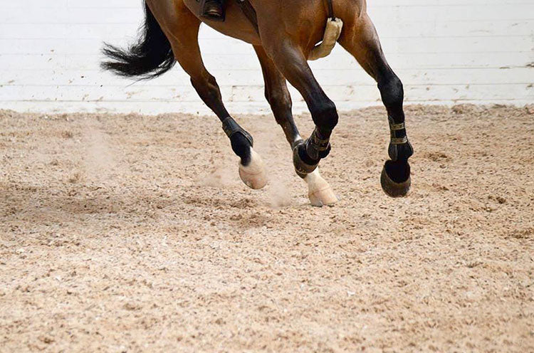 Rehabilitering efter ledinflammation