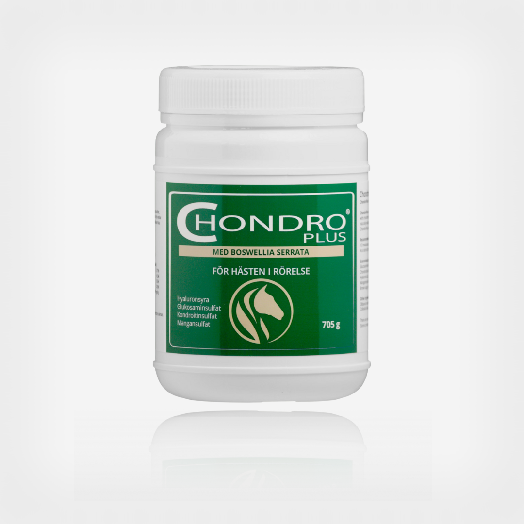 ChondroPlus, 705 g