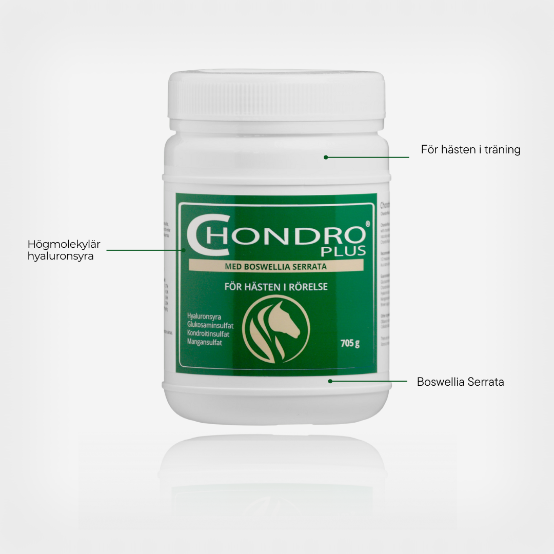Chondroplus, 705 g