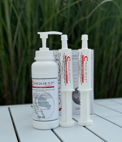 Conquest - Recovery Cure