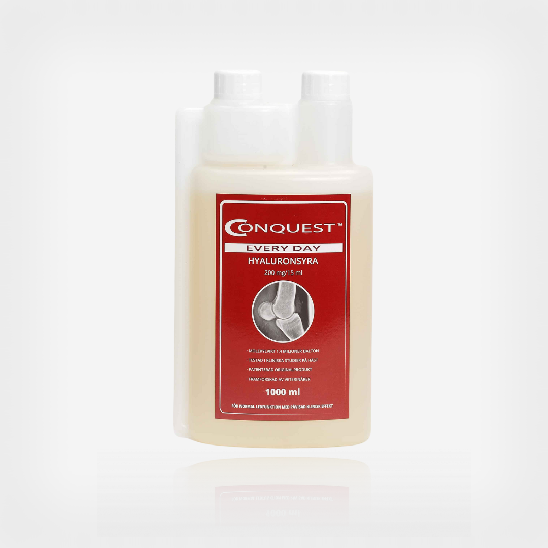 Conquest Every Day, 1000ml