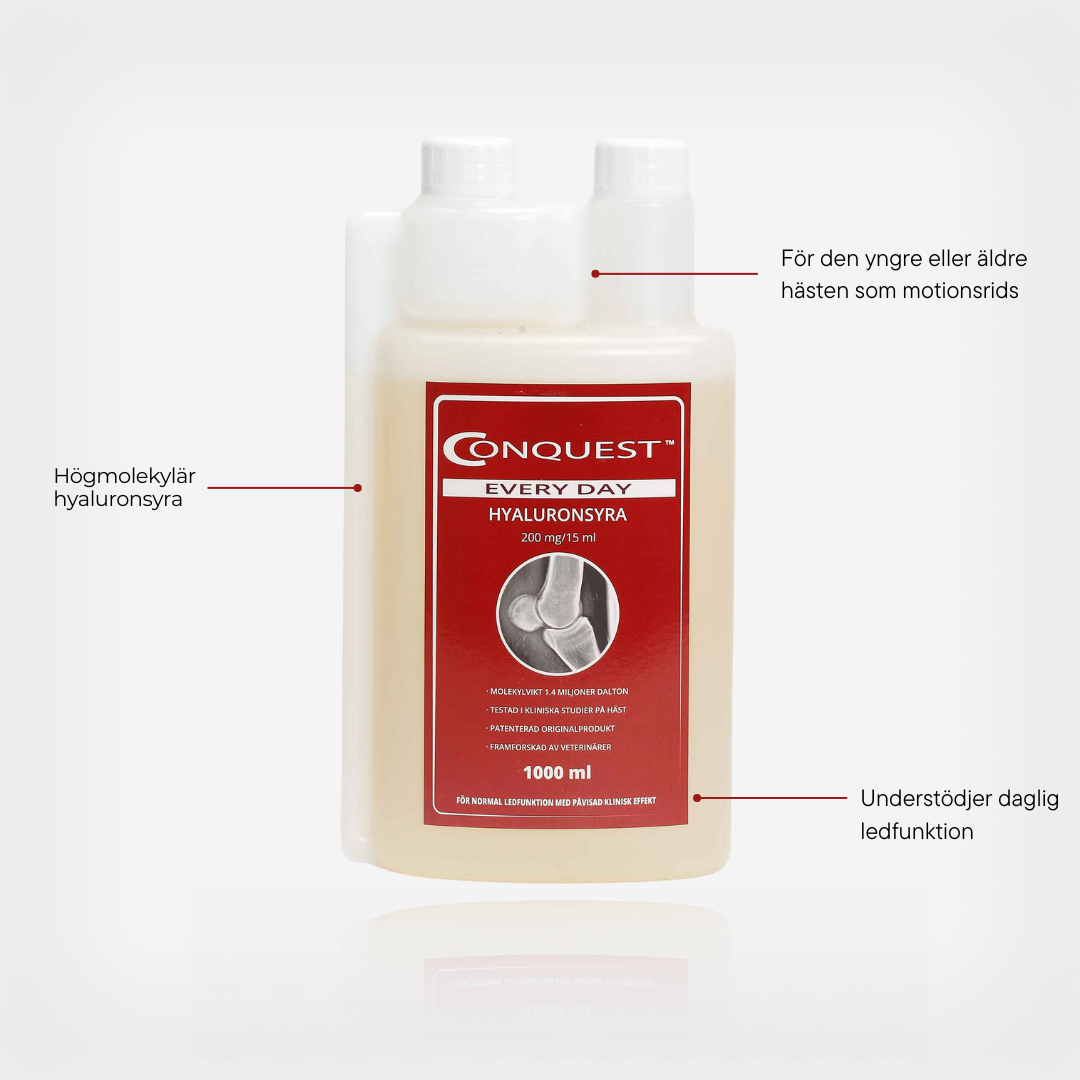 Conquest Every Day, 1000ml