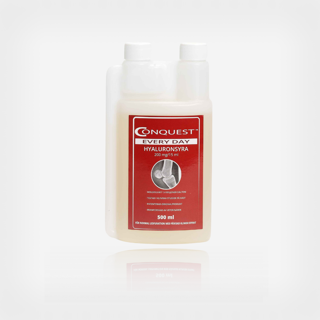 Conquest Every Day, 500ml