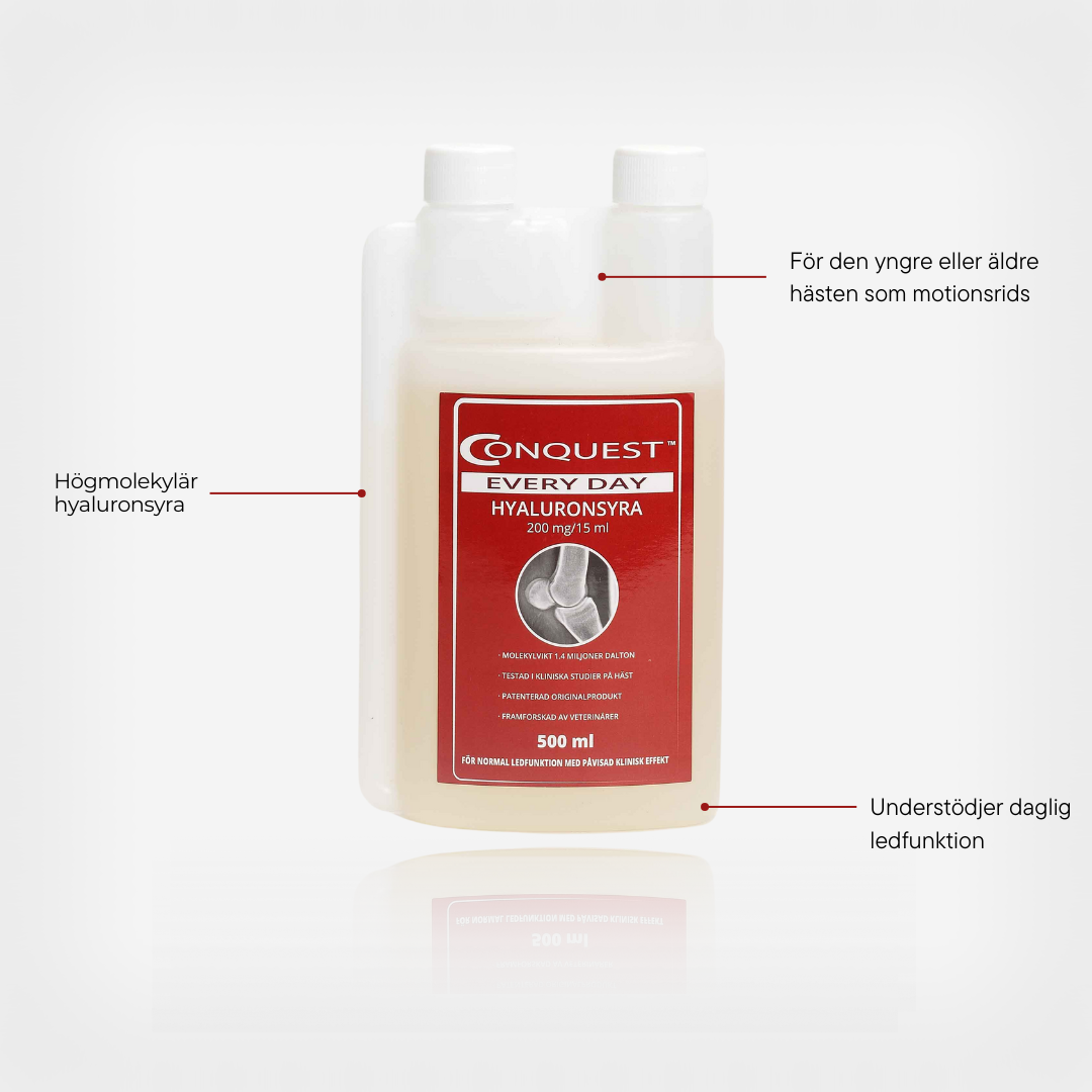 Conquest Every Day, 500ml