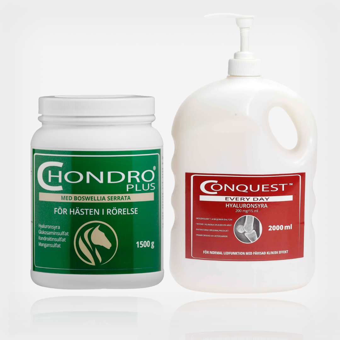 Duokit - Prestation LARGE