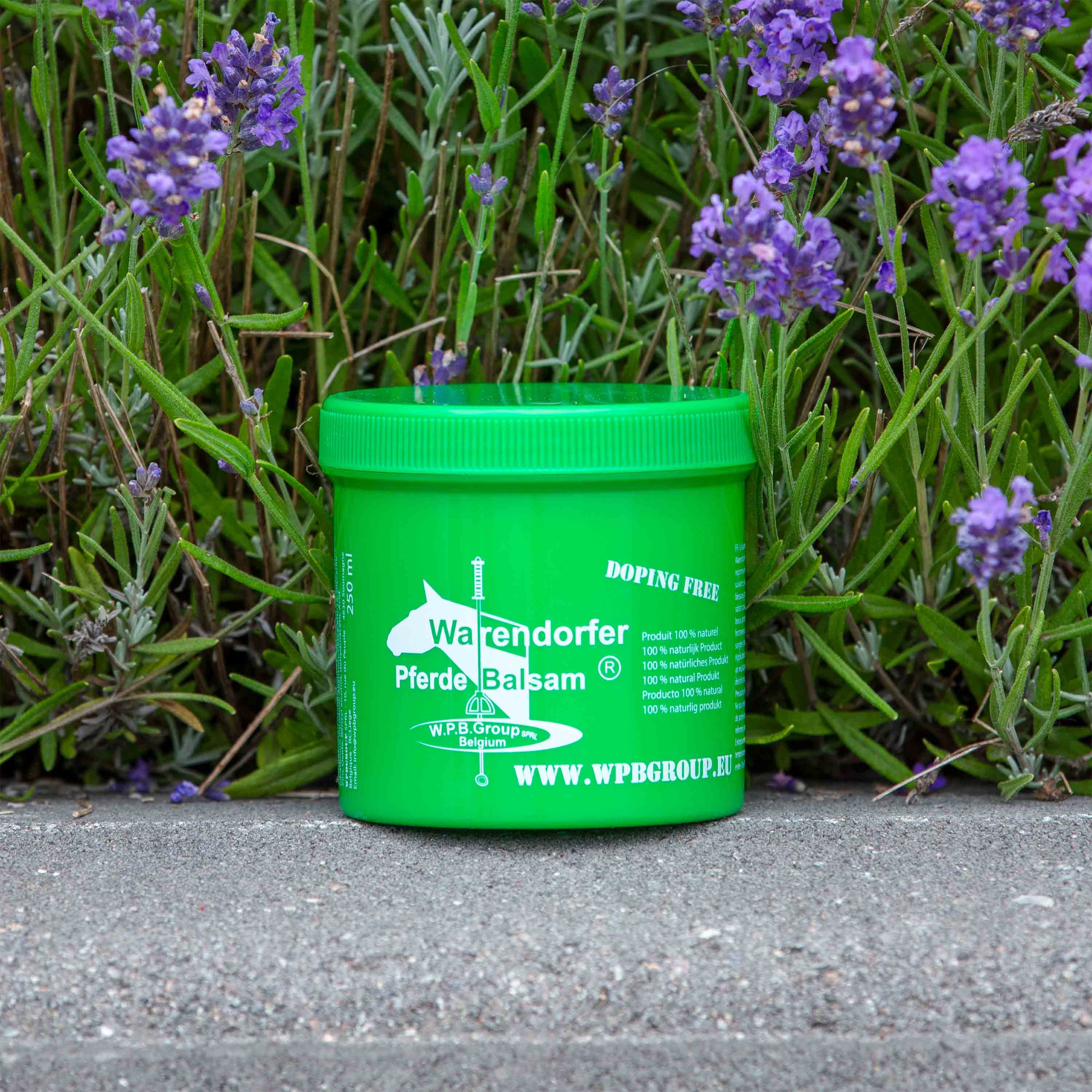Warendorf mazilo 250 ml