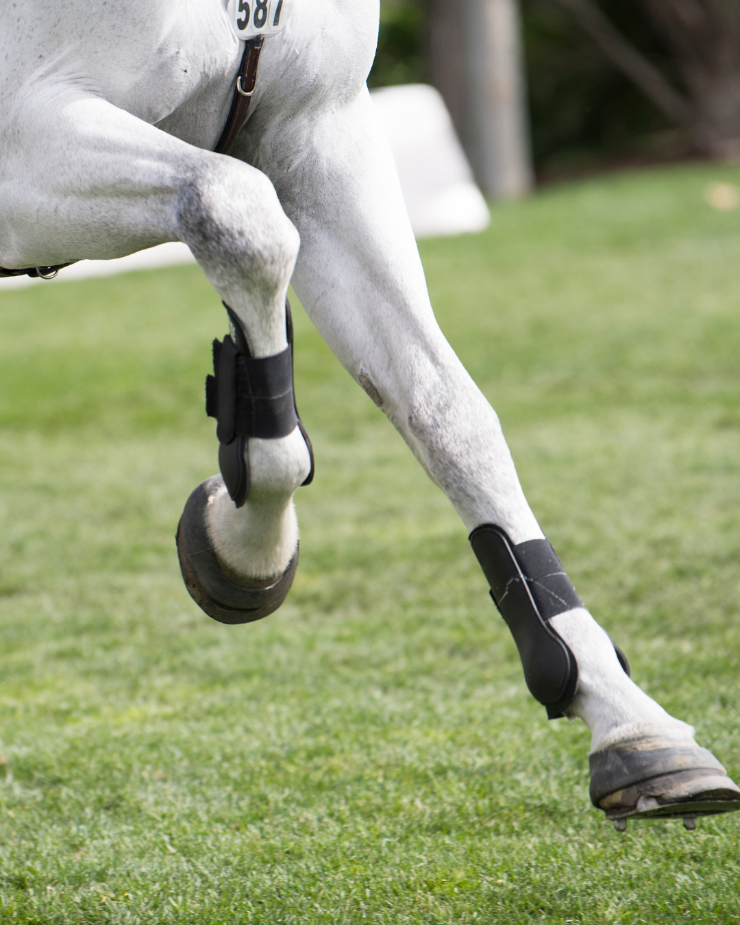 HyaHydraBoost, 60 ml (3 doser)