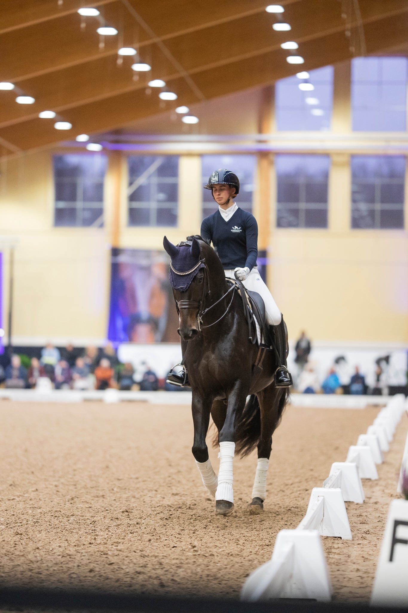 DressagePower Horse Show