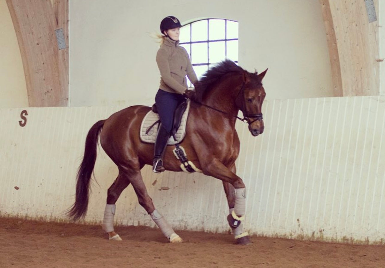 Jag tränar och tävlar kontinuerligt. Hur kan jag stärka min hästs leder?