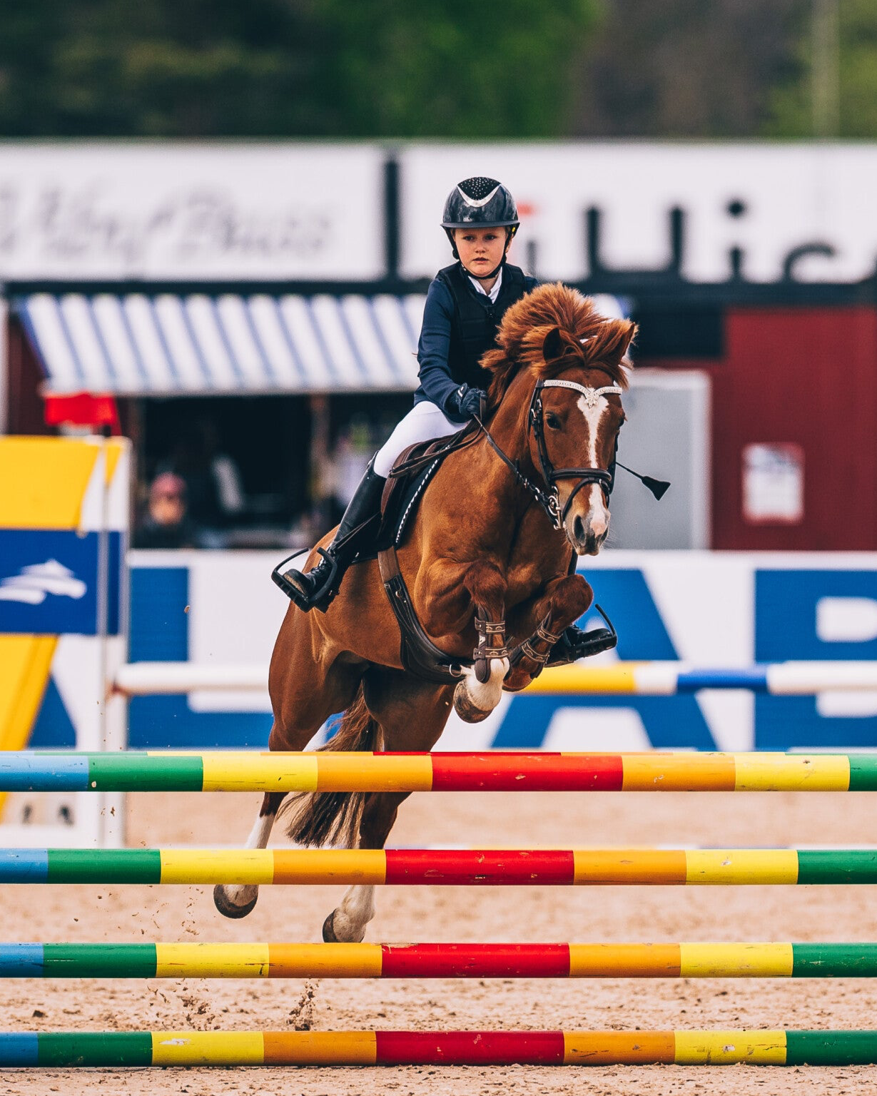 Framgångar för Jonna Alveheim