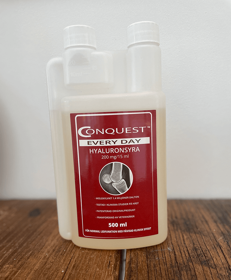 CONQUEST EVERY DAY 500ml